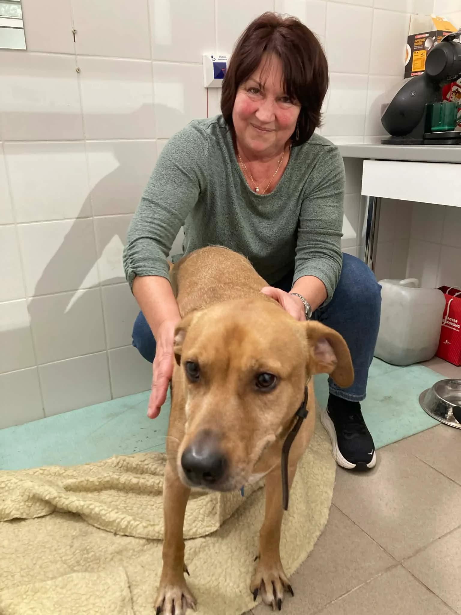 Hajdamár Andrea terápiás kutyamasszőr